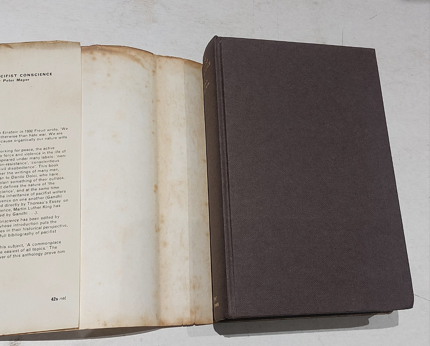 The Pacifist Conscience / Edited by Peter Mayer (1966) First Edition Hb Book3